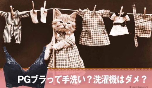 Pgブラの長持ちする洗い方 保存版 洗濯や干し方のお手入れ方法 ナイトブラ塾